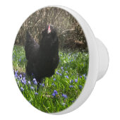 真夜中の青い花の尾離れのチキンニワトリ セラミックノブ (右)