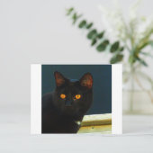 真夜中 ポストカード (スタンド正面)