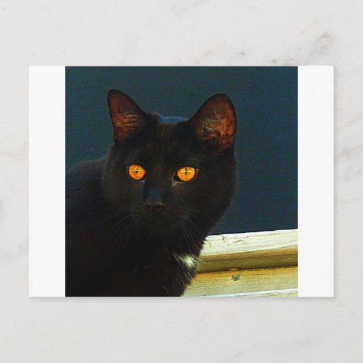 真夜中 ポストカード (正面)