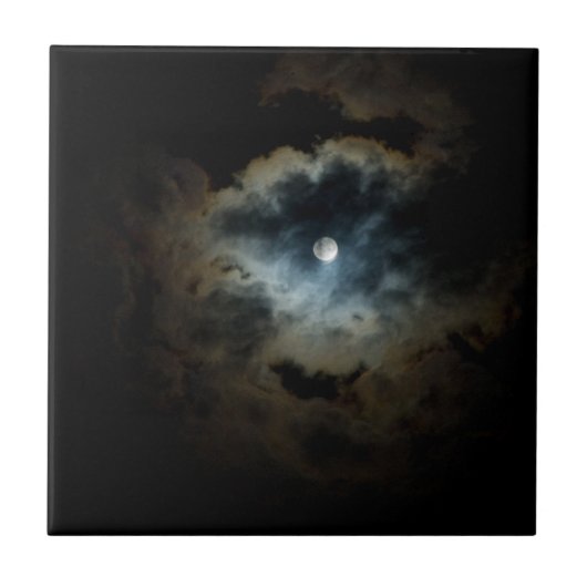 真夜真珠 タイル (正面)