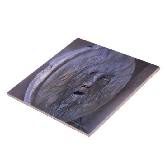 真実の口 タイル (側面)