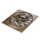 真実の口 タイル (側面)