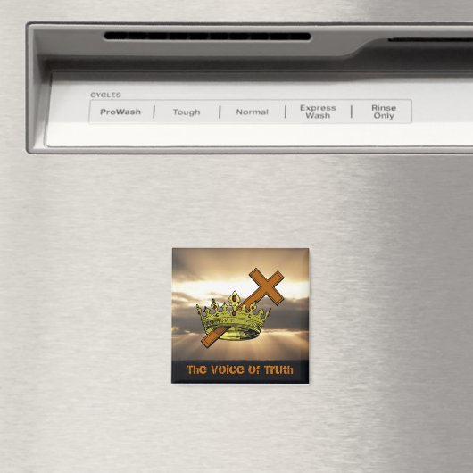 真実の声 マグネット (インサイチュ (食洗機))