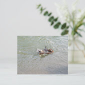 真実の愛 ポストカード (スタンド正面)