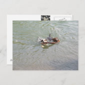 真実の愛 ポストカード (正面/裏面)