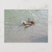 真実の愛 ポストカード (正面)