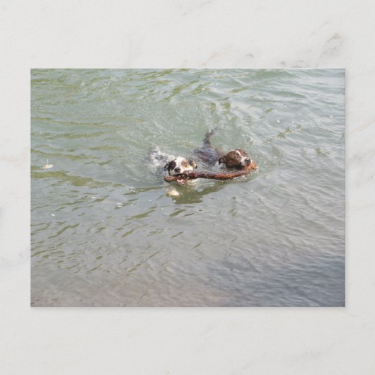 真実の愛 ポストカード (正面)