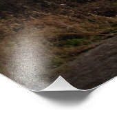 「真実はここにある」 フォトプリント            (角)