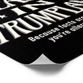 真実はトランプランドの嘆きの嘘では許されず ポスター (角)