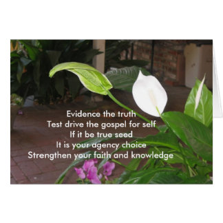 真実を立証して下さい