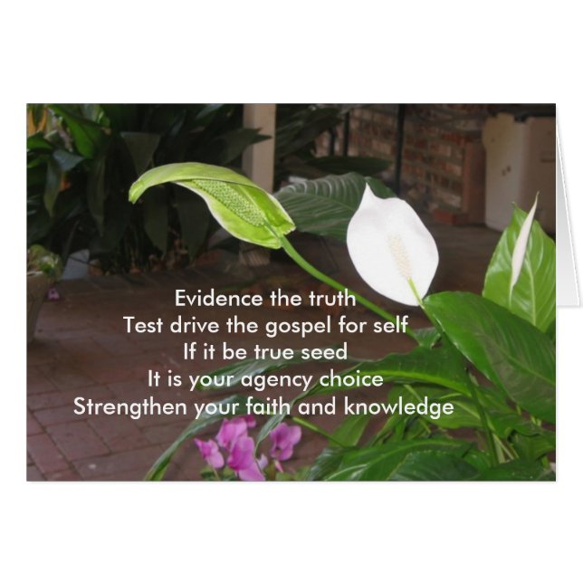 真実を立証して下さい (正面横)