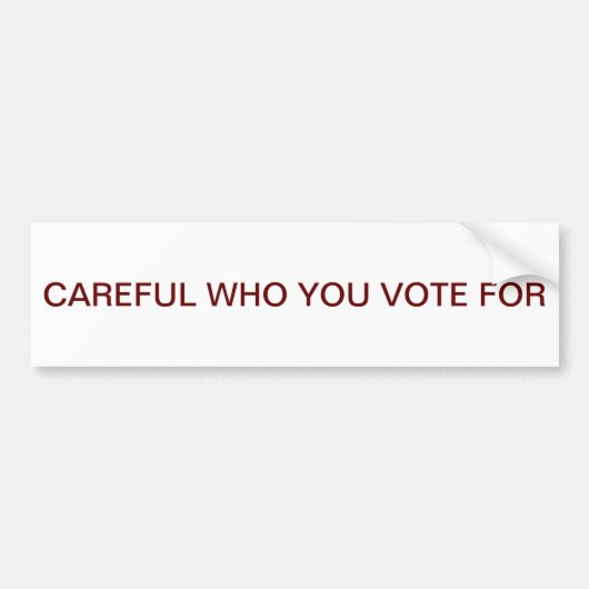 真実 バンパーステッカー (正面)