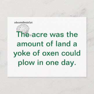 真実 ポストカード