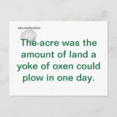 真実 ポストカード (正面)