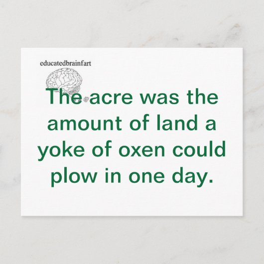 真実 ポストカード (正面)