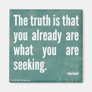 真実 マグネット