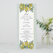 真新しいアクセントプログラムの黄色い花 プログラム (スタンド正面)