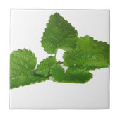 真新しい葉 タイル (正面)