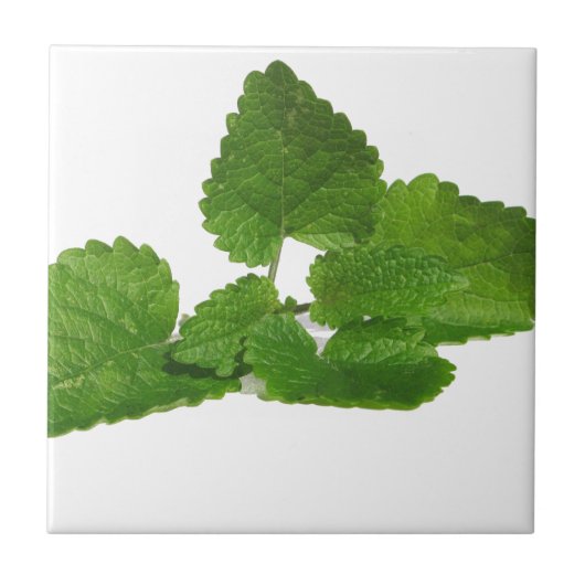 真新しい葉 タイル (正面)