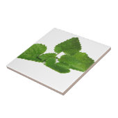 真新しい葉 タイル (側面)