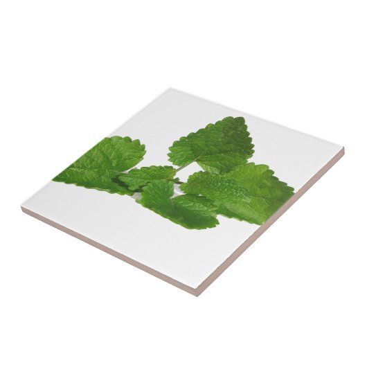 真新しい葉 タイル (側面)