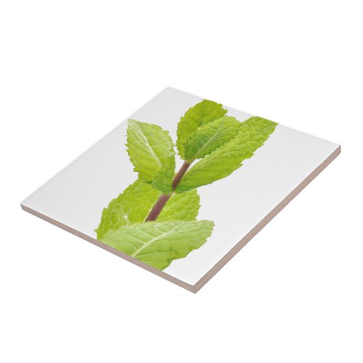 真新しい葉 タイル (側面)