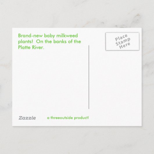 真新しいmilkweedの植物 案内ポストカード (裏面)