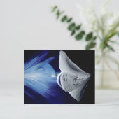 真日奈 ポストカード (スタンド正面)