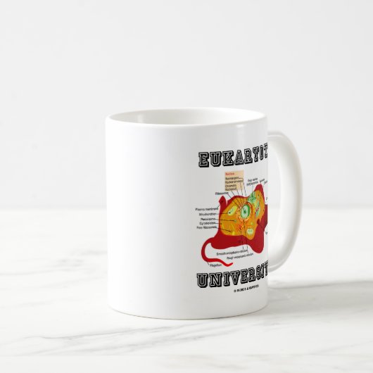 真核大学動物細胞解剖学 コーヒーマグカップ (正面右)