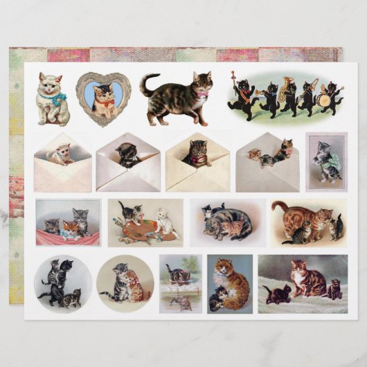 真正(AIではない)猫コレクションby H.マグワイア (正面/裏面)