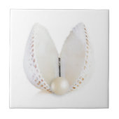 真珠と貝殻 タイル (正面)