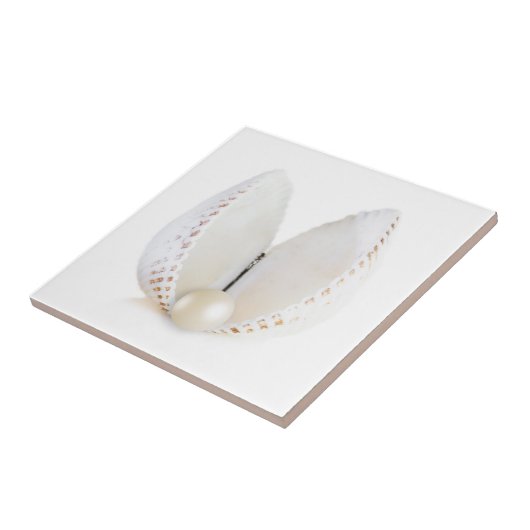 真珠と貝殻 タイル (側面)