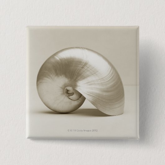 真珠のオウムガイの貝殻 缶バッジ (正面)