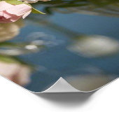 真珠を入れた繊細なピンクのバラ ポスター (角)