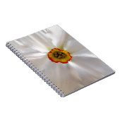 真珠白水仙 ノートブック (右側)