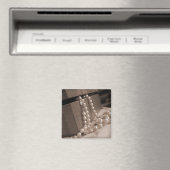 真珠磁石 マグネット (インサイチュ (食洗機))