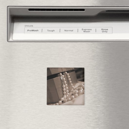 真珠磁石 マグネット (インサイチュ (食洗機))