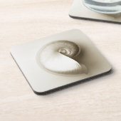 真珠色のオウムガイの海の貝2 コースター (左側)