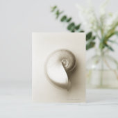 真珠貝殻2 ポストカード (スタンド正面)