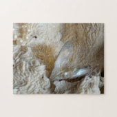 真珠・牡蠣・海珊瑚写真 ジグソーパズル (横)