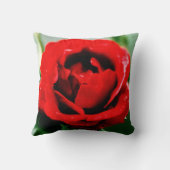 真紅のバラの愛 クッション (裏面)