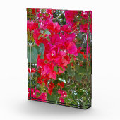 真紅の花々:赤いブーゲンビリアの舞 フォトブロック (右)