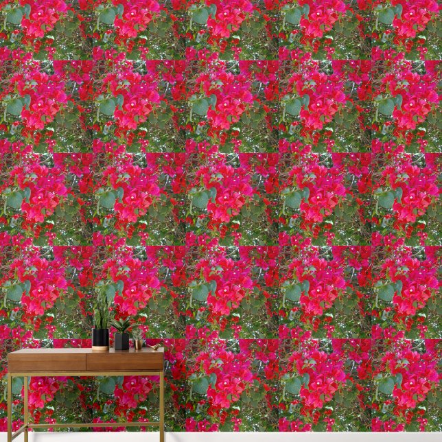 真紅の花々: 赤いボガンビリアのダンス 壁紙 (廊下)