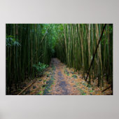 真羽井 ポスター (正面)