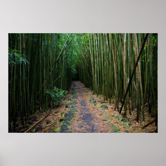 真羽井 ポスター (正面)