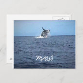 真羽井 ポストカード (正面/裏面)