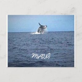 真羽井 ポストカード