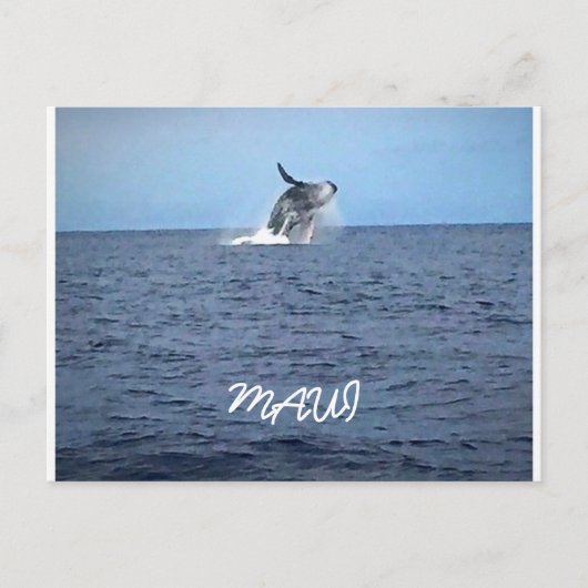 真羽井 ポストカード (正面)