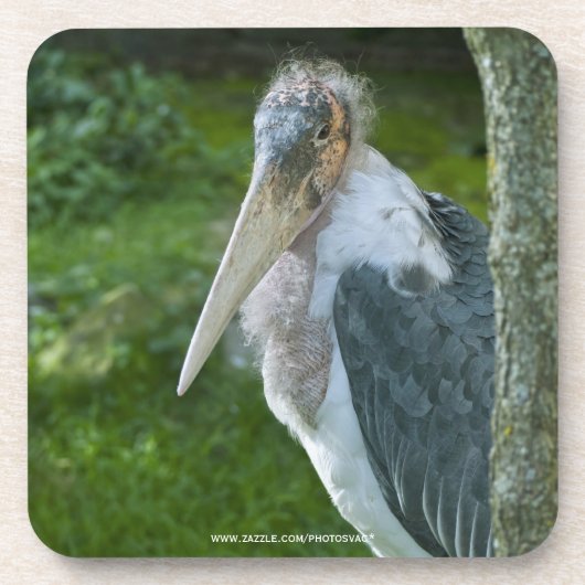 真良坊 コースター (正面)