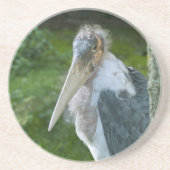 真良坊 コースター (正面)